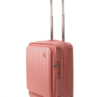 SABAL GOLD ROSE CARRY ON 20´